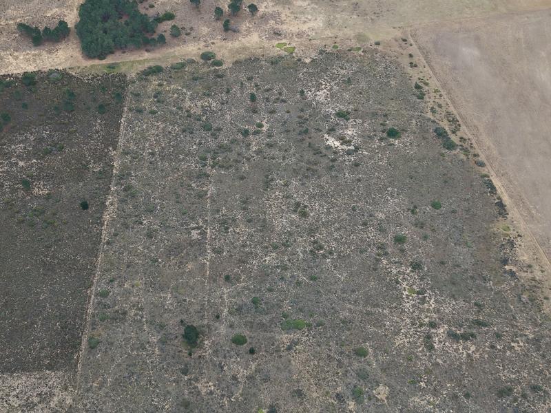 1 Bedroom Property for Sale in Riversdale Western Cape